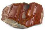 Polished Noreena Jasper Section - Australia #319525-1